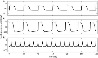 Computational models of autonomic regulation in gastric motility: Progress, challenges, and future directions